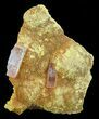 Orpiment With Barite Crystals - Peru #63782-1